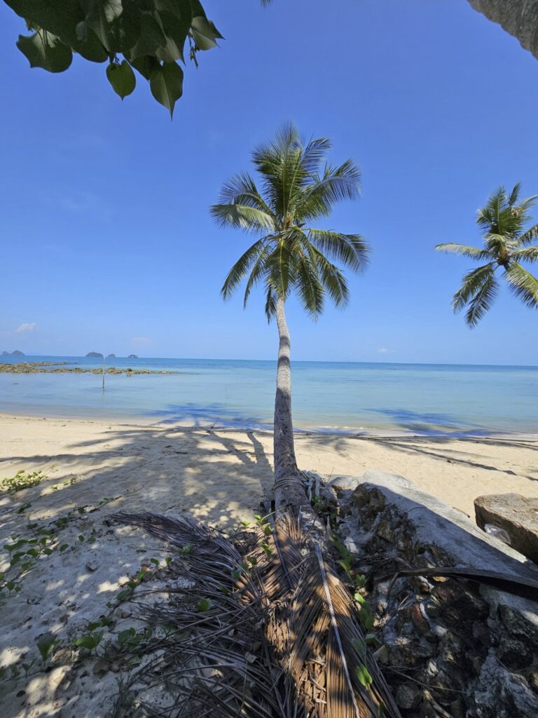 land for sale in koh samui thailand