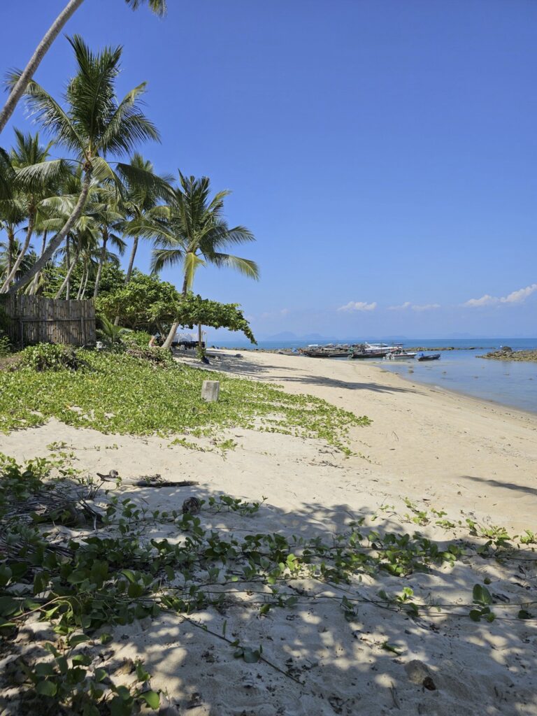 samui beach front land