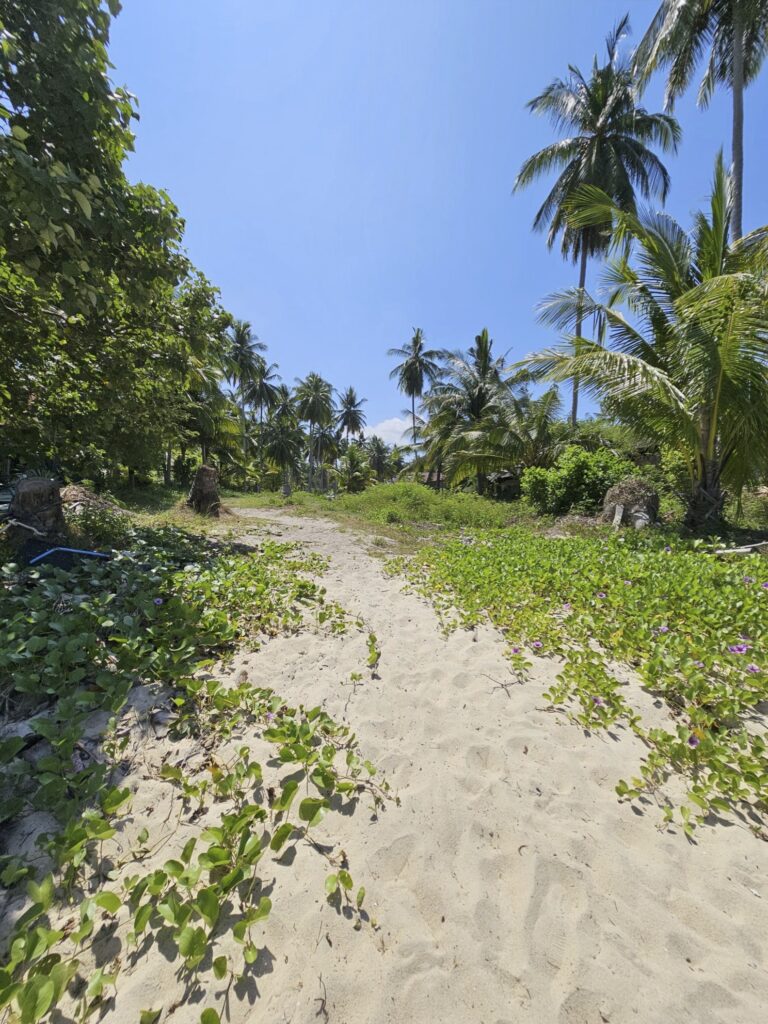 beachfront samui